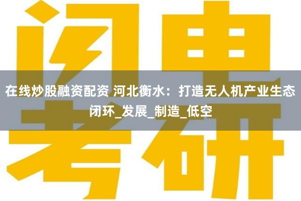 在线炒股融资配资 河北衡水：打造无人机产业生态闭环_发展_制造_低空