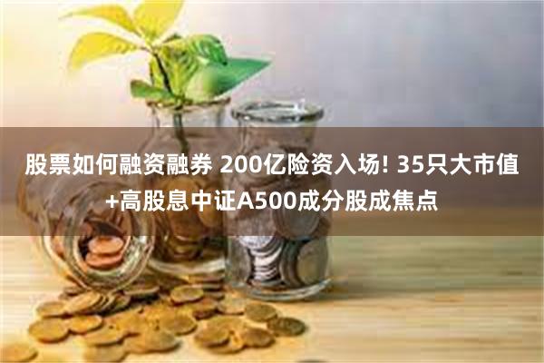 股票如何融资融券 200亿险资入场! 35只大市值+高股息中证A500成分股成焦点