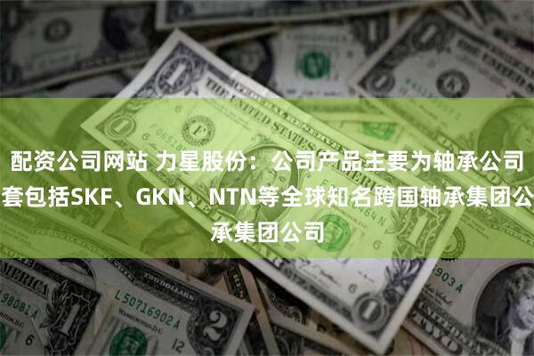 配资公司网站 力星股份：公司产品主要为轴承公司配套包括SKF、GKN、NTN等全球知名跨国轴承集团公司
