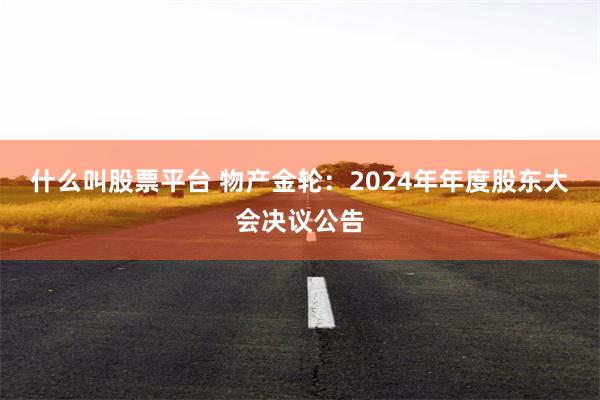 什么叫股票平台 物产金轮：2024年年度股东大会决议公告