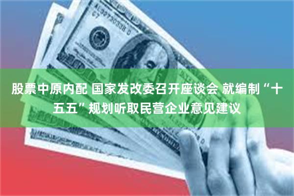 股票中原内配 国家发改委召开座谈会 就编制“十五五”规划听取民营企业意见建议