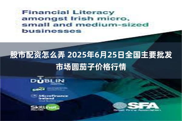 股市配资怎么弄 2025年6月25日全国主要批发市场圆茄子价格行情