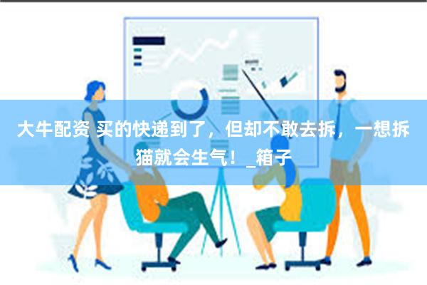 大牛配资 买的快递到了，但却不敢去拆，一想拆猫就会生气！_箱子